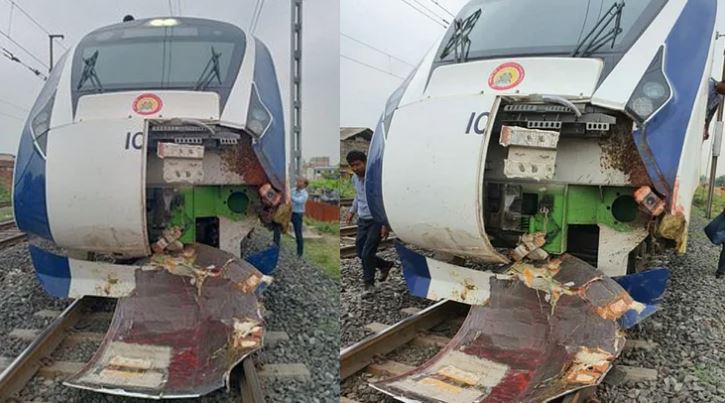 जानवरों से टकराई वंदे भारत ट्रेन